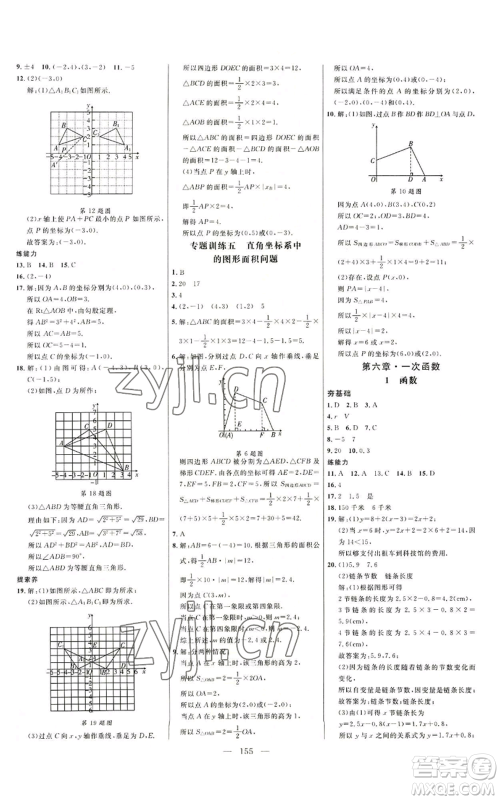 延边大学出版社2022细解巧练七年级上册数学鲁教版参考答案