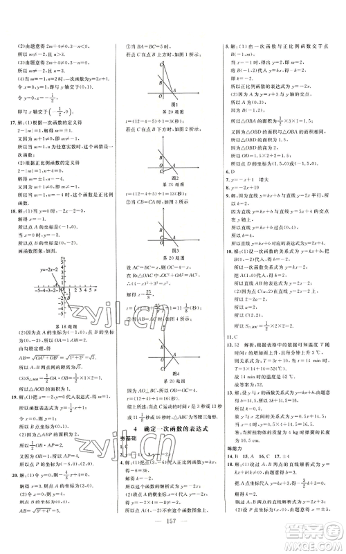 延边大学出版社2022细解巧练七年级上册数学鲁教版参考答案