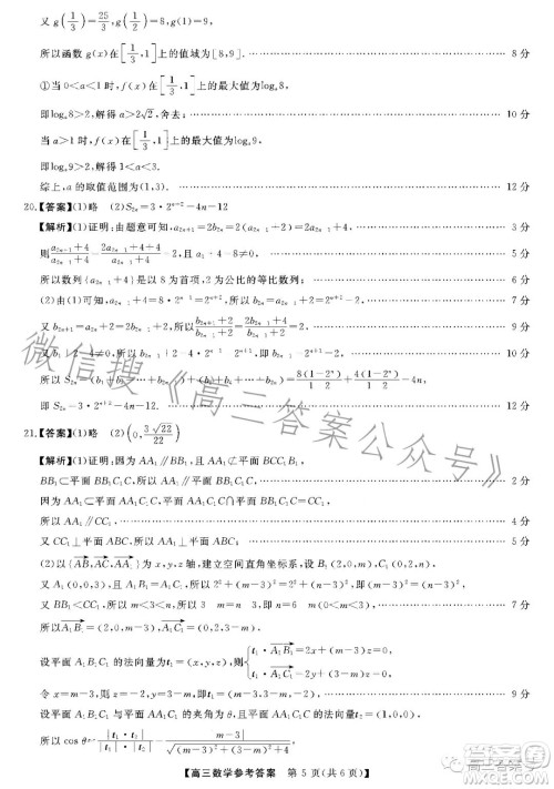 2022-2023学年金科大联考高三11月质量检测数学试卷答案