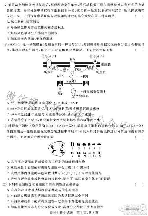 大同市2023届高三第二次学情调研测试生物试卷答案