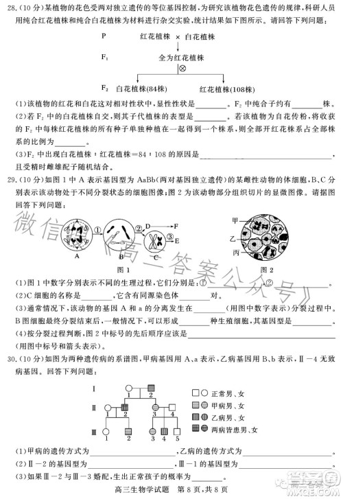 大同市2023届高三第二次学情调研测试生物试卷答案