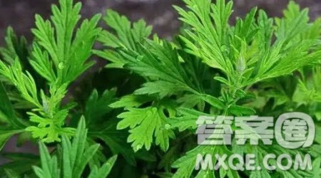 多一点等待作文600字 关于多一点等待为题作文600字