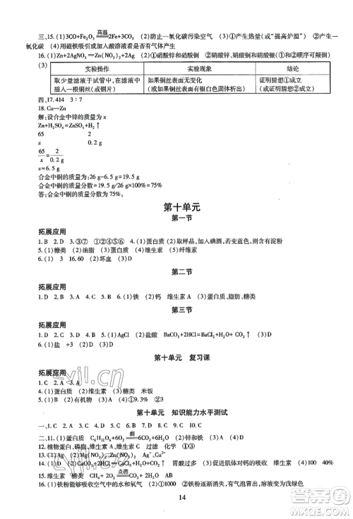 明天出版社2022智慧学习导学练九年级化学人教版参考答案