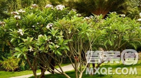 在时光里成长作文600字 关于在时光里成长的作文600字