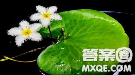 我与诗歌有个约会作文600字 关于我与诗歌有个约会为题作文600字 我与诗歌有个约会作文600字 关于我与诗歌有个约会为题作文600字