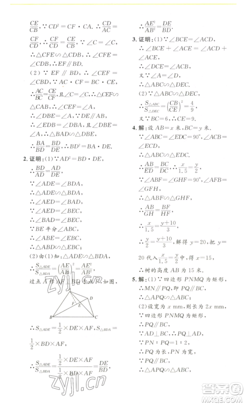 安徽人民出版社2022思路教练同步课时作业九年级数学人教版参考答案 安徽人民出版社2022思路教练同步课时作业九年级数学人教版参考答案