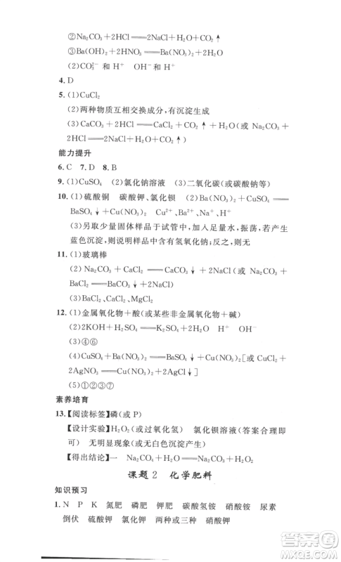 安徽人民出版社2022思路教练同步课时作业九年级化学人教版参考答案