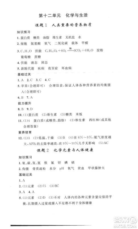 安徽人民出版社2022思路教练同步课时作业九年级化学人教版参考答案