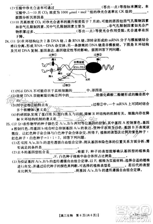 山东2023届高三金太阳11月联考23139C生物试卷答案