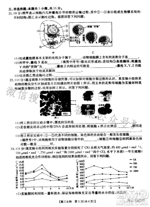 山东2023届高三金太阳11月联考23139C生物试卷答案