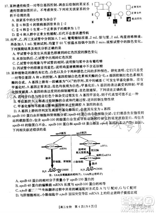 山东2023届高三金太阳11月联考23139C生物试卷答案