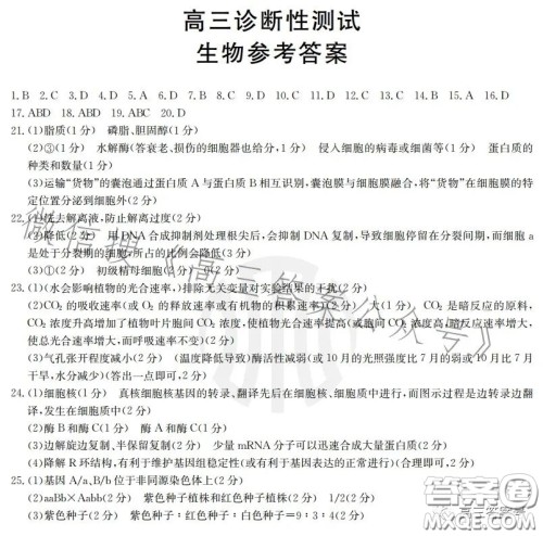 山东2023届高三金太阳11月联考23139C历史试卷答案 山东2023届高三金太阳11月联考23139C历史试卷答案