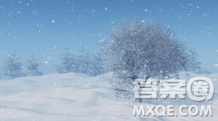冬天的雪花写景作文600字 关于冬天的雪花的写景作文600字 冬天的雪花写景作文600字 关于冬天的雪花的写景作文600字