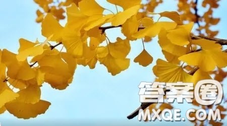 盼望作文600字 以盼望为主题作文600字 盼望作文600字 以盼望为主题作文600字