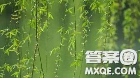 细微处见真情作文600字 以细微处见真情为题作文600字 细微处见真情作文600字 以细微处见真情为题作文600字