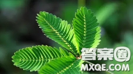 淌过我心的流水作文600字 关于淌过我心的流水为题作文600字 淌过我心的流水作文600字 关于淌过我心的流水为题作文600字