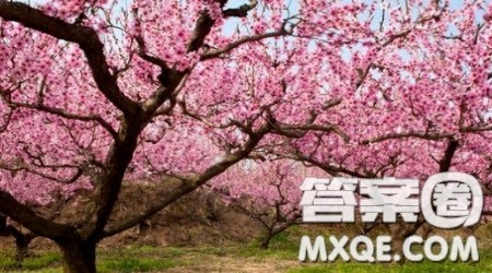 我毕生的追求就是让所有人远离饥饿材料作文800字 我毕生的追求就是让所有人远离饥饿材料作文800字