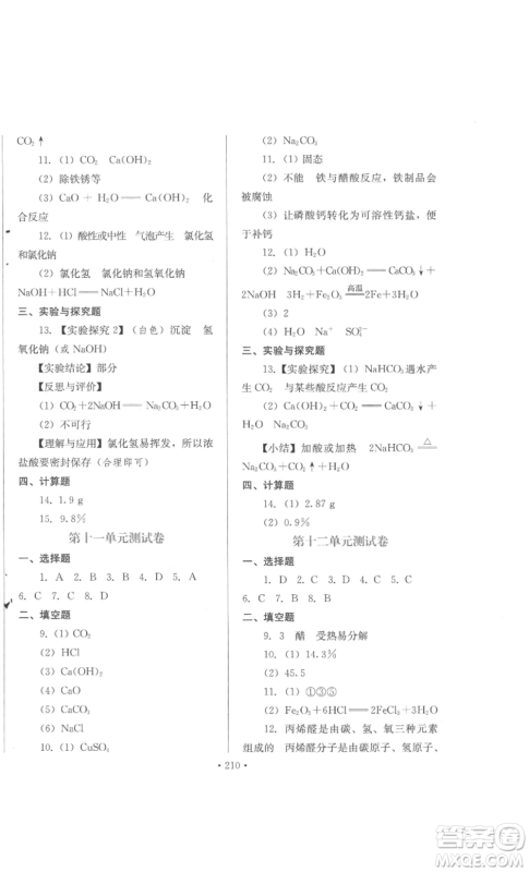 河北少年儿童出版社2022新练习巩固方案九年级化学人教版参考答案