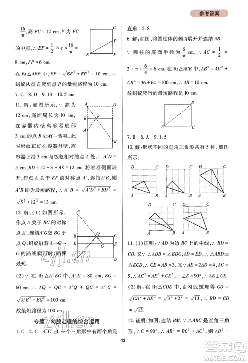 四川教育出版社2022新课程实践与探究丛书八年级上册数学华师大版参考答案