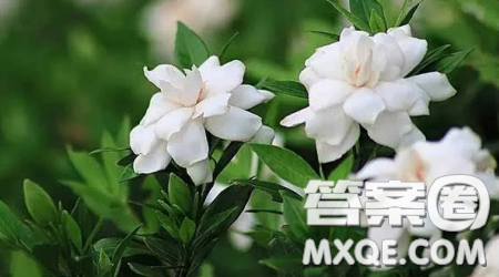 青春岁月我与___相约为题作文600字 关于青春岁月我与___相约为题的作文600字 青春岁月我与___相约为题作文600字 关于青春岁月我与___相约为题的作文600字