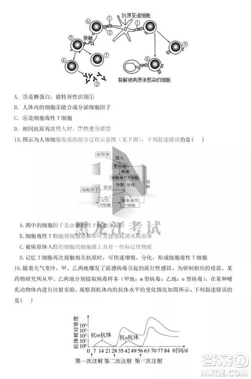 鹤岗一中2022-2023高二上学期生物11月期中考试试题答案