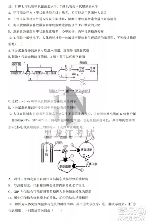 鹤岗一中2022-2023高二上学期生物11月期中考试试题答案