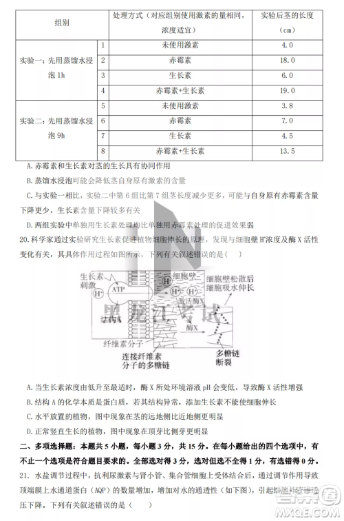 鹤岗一中2022-2023高二上学期生物11月期中考试试题答案