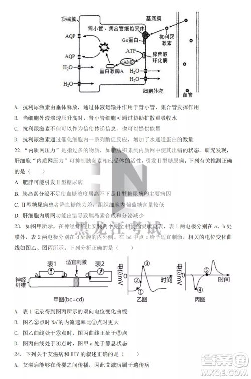 鹤岗一中2022-2023高二上学期生物11月期中考试试题答案