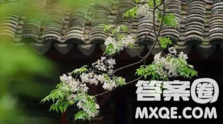 告别稚嫩为题作文600字 关于告别稚嫩为题目的作文600字 告别稚嫩为题作文600字 关于告别稚嫩为题目的作文600字