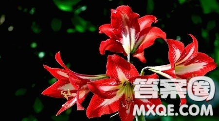 藏在心里的声音作文600字 关于藏在心里的声音作文600字 藏在心里的声音作文600字 关于藏在心里的声音作文600字