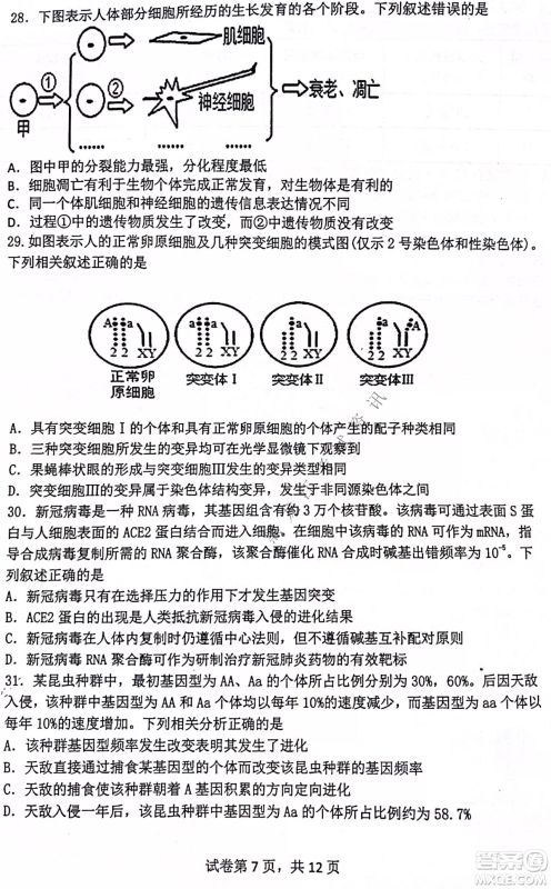 齐齐哈尔市部分地区高三上学期期中考试生物试题答案