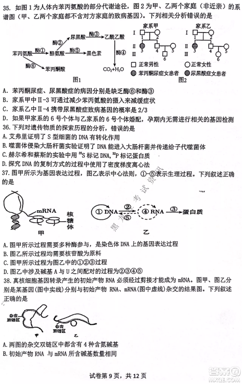 齐齐哈尔市部分地区高三上学期期中考试生物试题答案