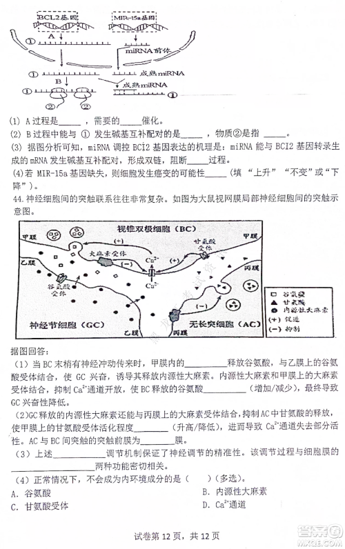 齐齐哈尔市部分地区高三上学期期中考试生物试题答案