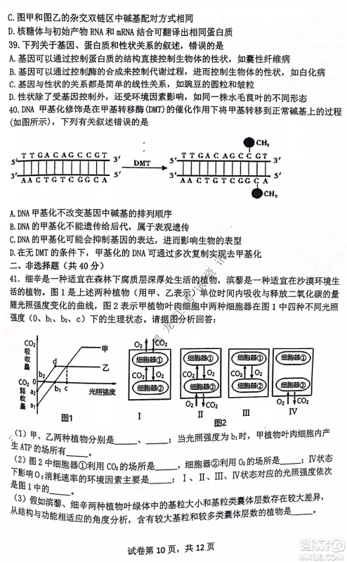 齐齐哈尔市部分地区高三上学期期中考试生物试题答案