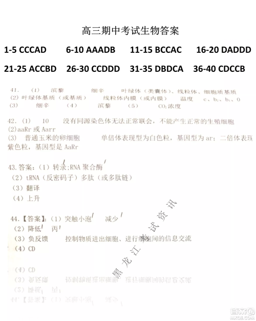 齐齐哈尔市部分地区高三上学期期中考试生物试题答案