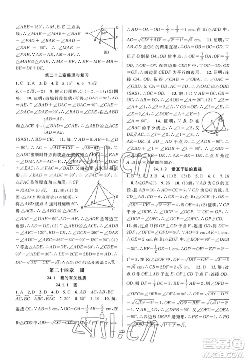 长江少年儿童出版社2022优质课堂导学案B自主作业九年级上册数学人教版参考答案