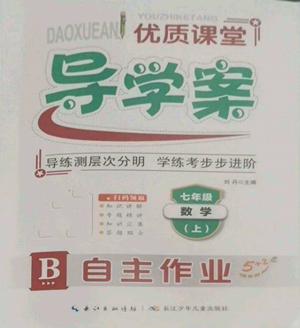 长江少年儿童出版社2022优质课堂导学案B自主作业七年级上册数学人教版参考答案