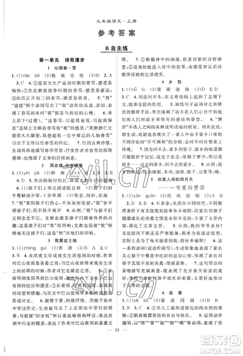 长江少年儿童出版社2022优质课堂导学案B自主作业九年级上册语文人教版参考答案