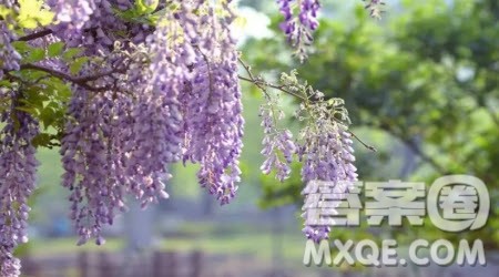 没有一滴水能独自成为大海作文800字 关于没有一滴水能独自成为大海为题作文800字