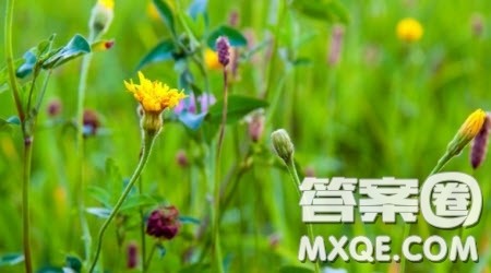 生命中的等候作文600字 以生命中的等候为题作文600字
