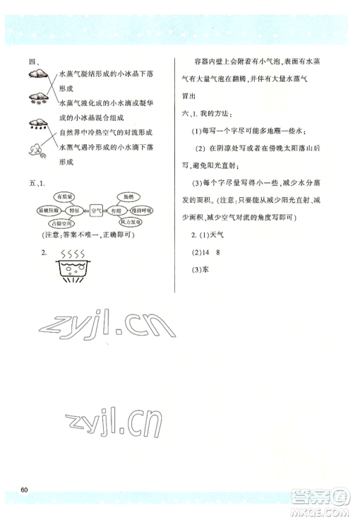 陕西人民教育出版社2022新课程学习与评价三年级上册科学教科版参考答案