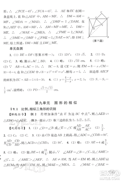 上海科学技术出版社2022新课程初中学习能力自测丛书数学通用版参考答案