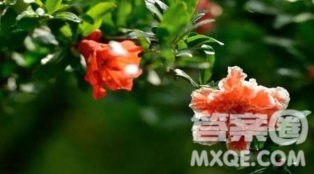 ___品人生作文600字 关于___品人生为题作文600字 ___品人生作文600字 关于___品人生为题作文600字