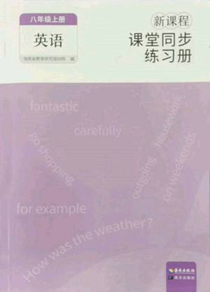 海南出版社2022新课程课堂同步练习册八年级上册英语人教版参考答案