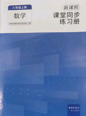 海南出版社2022新课程课堂同步练习册八年级上册数学人教版参考答案