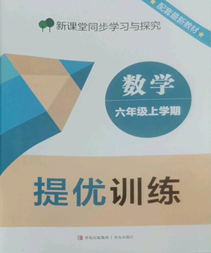 青岛出版社2022新课堂同步学习与探究提优训练六年级上册数学青岛版参考答案