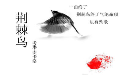 荆棘鸟读后感800字 关于荆棘鸟的读后感800字 荆棘鸟读后感800字 关于荆棘鸟的读后感800字