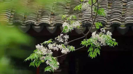 ___遗憾为题作文600字 关于___遗憾为题的作文600字