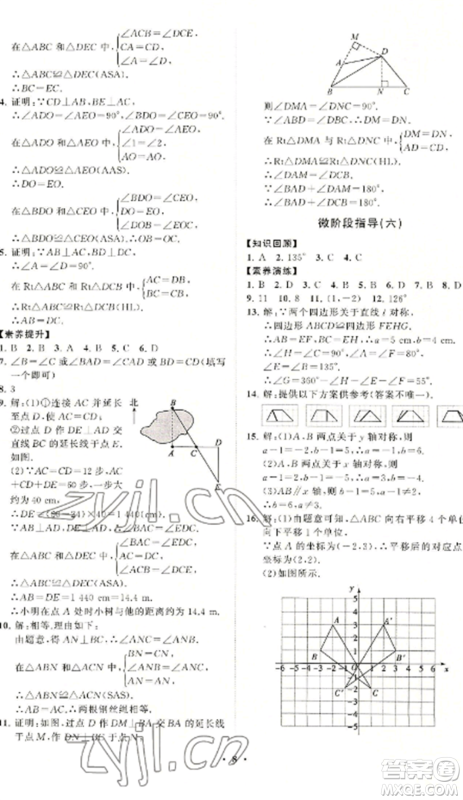 山东教育出版社2022初中同步练习册分层卷八年级数学上册人教版参考答案