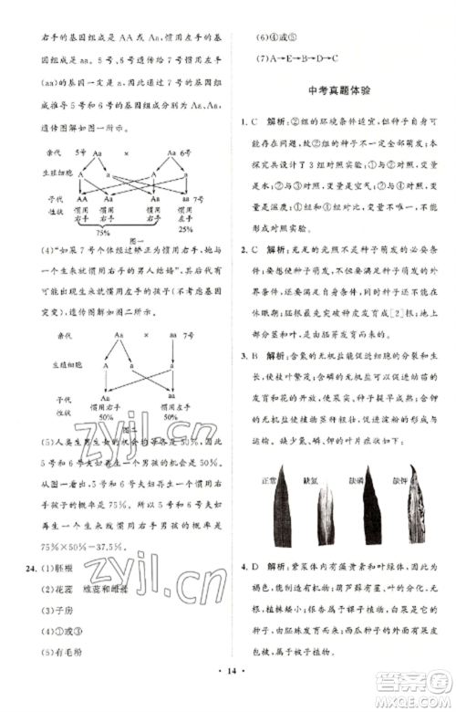 山东教育出版社2022初中同步练习册分层卷八年级生物上册济南版参考答案